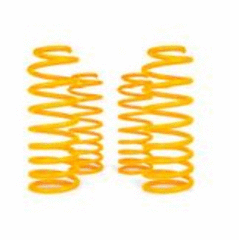 XGS COIL SPRINGS REAR RAISED 110LBS PAIR 770RR52M PC 07/13-12/15 225