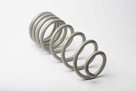 TJM XGS PLATINUM SERIES REAR COIL SPRING 770RR86Z Coil Spring 225